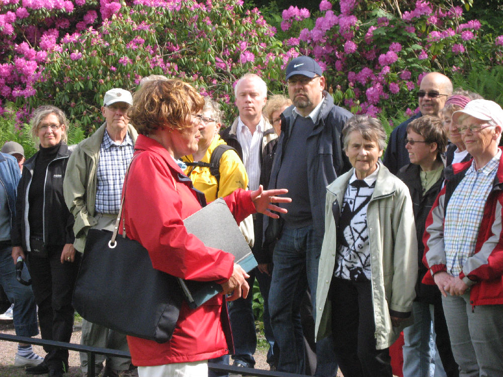 20100612 Brovandring Ängelholm