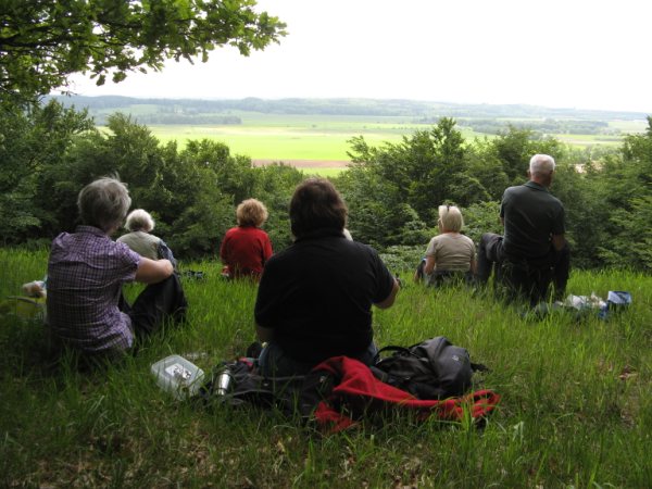 <b>20100615. Sjöbo-Ora</b><br>
	Vandring med sommarkortet. Längd: ca 17 km.<br>
	Hur skulle en vandring med Skånetrafiken starta om inte med en tågförsening??!!!
	<br>En extra timme i Lund blev resultatet men sedan bar det av med buss mot Sjöbo.
	<br>Regnet öste ner på 8 vandrare i Ängelholm men framme i Sjöbo kunde vi skymta solen,
	genom tunna moln, och regnkläderna packades ner.
	<br>En kort tur till första bästa rastplats för nu var vi kaffesugna.... passerade ett hav av
	färggranna lupiner, innan vi hittade en bra plats och slog oss ned i gräset.
	<br>Mätta, glada och sugna på att röra på benen tog vi oss uppför första backen och kom upp
	till en kungasten där Gustav VI Adolf och Drottning Louise den 11juli 1959 hade skrivit
	sina  namn. Här tog vi en kort paus för fotografering och studerande av informationstavla.
	<br>Vi fortsatte vår färd genom en campingplats och in i skogen, kilometer efter kilometer i
	underbar grönska, bara skogens egna ljud och lite småprat. Då mitt på stigen 50 meter
	framför oss, Mikkel räv i egen hög person.....några sekunder när allt står still sedan är det förbi. 
	Nej det blev ingen bild och det är nog så det skall vara, dessa ögonblick sparan  på en annan slags hårddisk. 
	Inte heller en gladas majestätiska flyguppvisning finns sparat på något minneskort men vi fick se uppvisningen 
	och det var som att se en händelse i slowmotion. Forts...