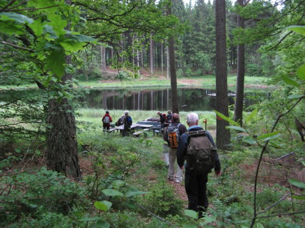 <b>20100618. Vedema-Hässleholm</b><br> 
	Vandring med sommarkortet. Längd ca: 17 km<br>
	Fredag morgon och klockan är lite efter sju och vi har blivit ett gäng på 9 personer som med sommarkortet i handen stiger på bussen mot Hässleholm.<br> 		
	En knapp timme senare har lite kvinnlig list fått busschauffören att släppa av oss precis där
	vi ville vid en orangefärgad pinne som markerar sträckningen av Skåneleden, vi kunde trampa ner från bussen och rakt in på leden.<br>
	Bort från vägen och in mot skogen och snart var det precis som det skall vara, bara naturen och ett gäng småpratande vandrare.<br>
	Vi trampade på i jämn takt, stannade upp för påfyllning av vatten och/ eller ”kontroll av blommorna en bit från stigen” och mådde riktigt bra när nu också solen hade vaknat och tagit sig ut i skogen.
	<br>Efter 6-7 km kom vi fram till ett område med höga fina lärkträd som dock passerades i rask takt eftersom vi hade siktat dagens första rastplats, 
	nedför en liten backe och sedan låg den där framför oss alldeles intill en spegelblank liten skogstjärn. En underbar plats om man inte hade hört bilarna 
	som for fram på riksväg 21, lite störande men det är bara att gilla läget som ungdomarna säger.<br>
	FÄSTINGAR!! En av grabbarna har siktat ett par fästingar som promenerar på hans ljusa byxor.<br>
	- De måste gilla ljusa kläder!?<br>
	- Nja, det är väl snarare så att de syns bättre på ljusa kläder!<br>
	- Jag har hört att det finns extra mycket fästingar där det finns ekskog!<br>
	- Och i högt gräs!!!<br>
	Många kommentarer!
	Det blev en liten kurs om fästingar och det var ju inte helt fel, rätt miljö och definitivt rätt målgrupp.<br>
	Ganska snart bar det av igen över 21:an och in i skogen men lika fort bar det av ut mot asfalten igen, varför vet vi inte men leden hade lagts om på 
	denna sträcka och vi fick vandra irriterande nära framrusande bilar i ett antal kilometrar.<br>
	Till sist fick vi ändå syn på en orange pil som skickade oss in mot skogen och tystnaden…skönt.<br>
	Tacksamma för att ha kommit in på den riktiga sträckningen igen så bjöd vi oss själva på en andra fikapaus under en jättestor sparbanksek och med utsikt bort mot Finjasjön.<br>
	Med påfyllt energiförråd vandrade vi så småningom vidare och gick som vanligt och små- snackade eller vandrade bara tysta i vår egen värld, hur som helst så var vi plötsligt 
	utanför leden, inga markeringar så långt ögat kunde se. Helt om och utkik efter orange markeringar, tillbaks till senaste vägskälet, inte helt lätt, det tog bara slut. 
	Vi fick söka hjälp hos den lokala befolkningen innan vi hittade tillbaka till spåret. Allt väl?? Nja, bara nästan, nu hade vi blivit av med Gunnar, han hade gått tillbaka 
	för att dokumentera bristerna med markeringen och vi hade gått framåt…DET ÄR BRA ATT DET FINNS MOBILTELEFONER!!!<br>
	Nio vandrare igen och full fart framåt men inte så länge, nytt problem, tydlig markering men den ledde rakt ut i sankmarker ( i alla fall vid denna tidpunkten). Vi fick göra 
	en stor runda runt ”träsket” och sedan leta oss bakåt mot leden, det gick men tog lite tid.<br>
	Resterande bit av leden gick på ett motionsspår in till Hässleholmsgården där vi avslutade dagens tur.<br>
	Sista insatsen gjorde vi på upploppet när vi förpassade en präktig vinbärssnigel från den farliga stigen in i skyddande buskage.<br>
	Strålande sol och lite väntetid, så det fick bli en glass innan vi tog ”sovbussen” mot Ängelholm. Lagom till eftermiddagskaffet rullade vi in i Lergökastaden, lite trötta 
	men nöjda med dagen och vandringen.<br>
	Text: Kjell Fjellsén.