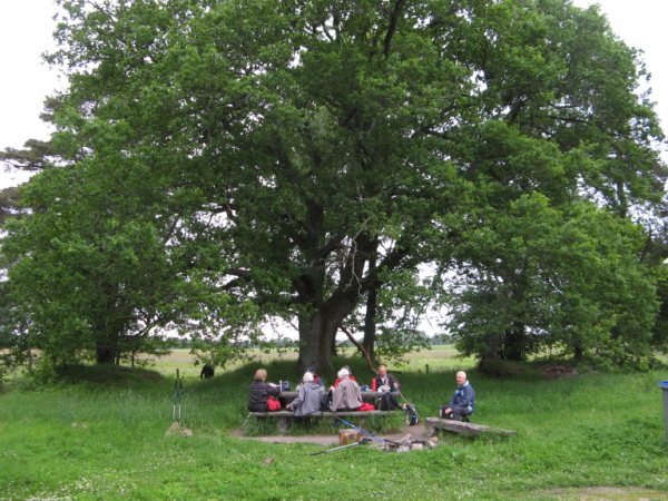 20100618 Skåneleden. Vedema-Hässleholm.