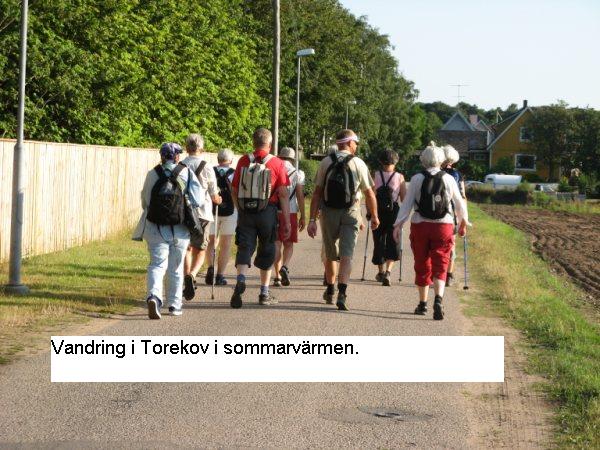 <b>20100714. Torekov</b><br>
	Onsdag kväll i mitten på juli, när sommaren var som varmast. Britt-Marie bjöd på en fin vandring i Torekov, först i lite lantligt miljö 
	sedan på Skåneleden längs havet. Där fläktade det lite, så sommarvärmen kändes enbart behagligt.<br>
	Fikapausen på en kulle med utsikt över Skälderviken och Kullaberg var en höjdare.<br>
	Vandringen avslutades med ett besök i hamnen, där det vimlade av turister.<br>
	Bilarna hade vi parkerat vid kyrkan – ingen parkeringsavgift!