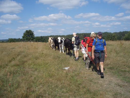 20100810 Brösarp