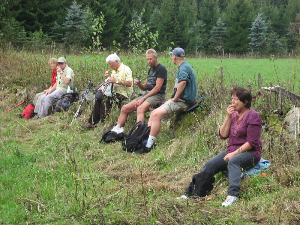 <b>20100912 Vandring vid Eneskogen och Jällabjär.</b><br>
	Vi var 11 stycken som vandrade med Sylvia och Kjell i Eneskogen och upp på Jällabjär, som ligger strax öster om Röstånga. Det är en 
	tydlig höjd, en gammal vulkanrest, vilken är nedslipad under årmiljoner till dagens beskedliga.<br>
	Den 17km långa vandringen gick genom en väldigt naturskön trakt. Vi hade en mycket varierande och stundtals spännande vandring med 
	från höjderna fantastisk utsikt över nejden. Ibland följde vi Skåneleden och ibland gick vi på, av Kjell och Sylvia, rekade ”vägar” 
	genom skog och hagar. Vår erfarna vandringsledare såg till att vi lugnt och tryggt tog oss runt i markerna och stämningen var på topp.<br>
	Dagen efter blev Christinas bil ordentligt tvättad när hon var och plockade de björnbär vi såg på vandringen.<br>
	Tack för en mycket trevlig vandringsdag / Rolf.