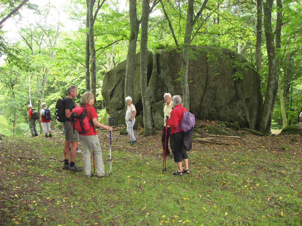 20100912 Vandring vid Eneskogen och Jällabjär.