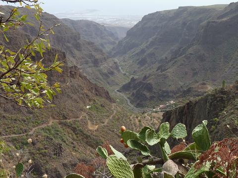 20100919-24 Gran Canaria