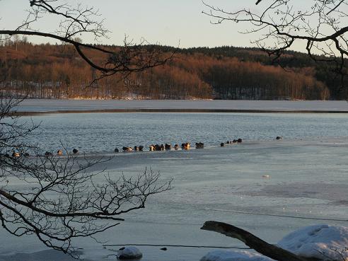 20101212_Rössjön